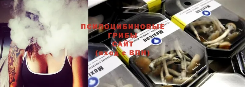 Галлюциногенные грибы Psilocybe  купить наркотик  Сыктывкар 